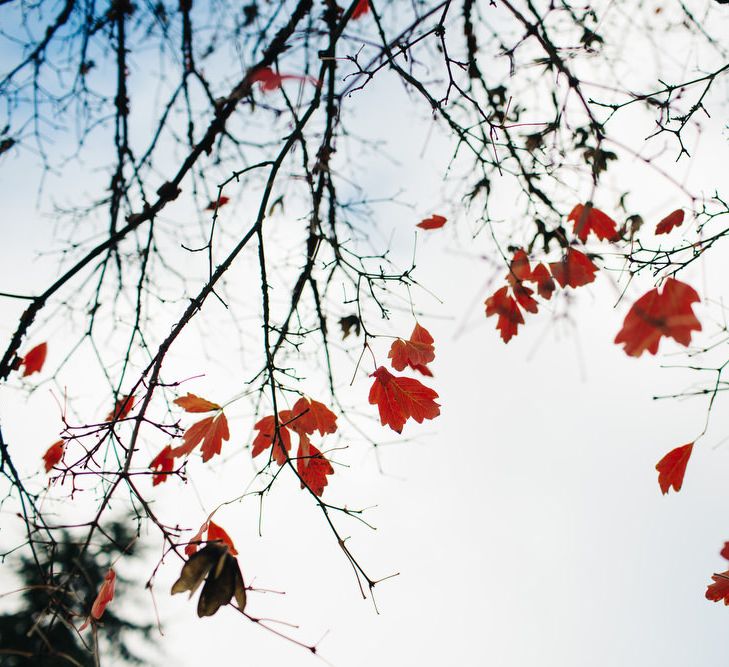 Winter Wedding At Elmore Court