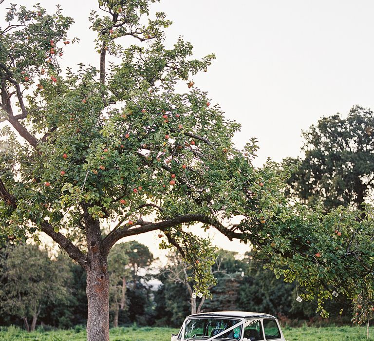 #crowedding Elmore Court outdoor reception