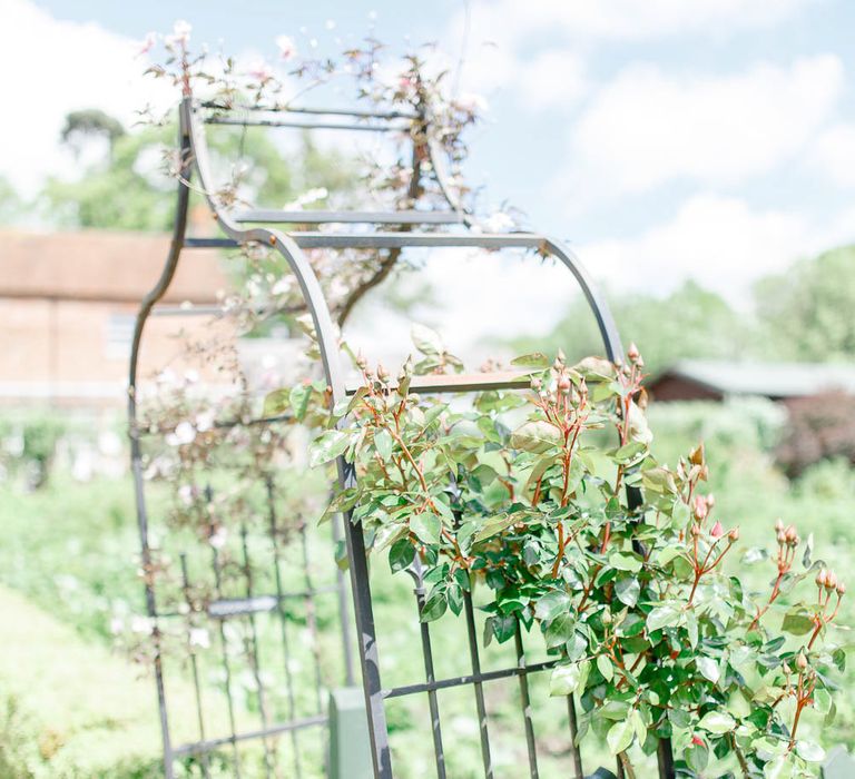 The Secret Garden Wedding Venue in Essex | White Stag Wedding Photography