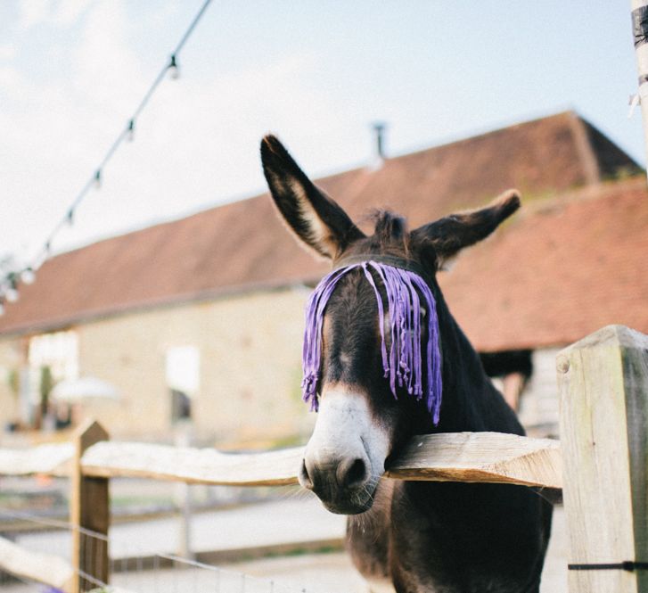 Grittenham Barn Wedding