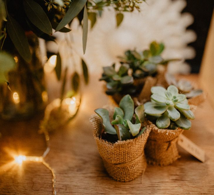 Succulent Wedding Favours