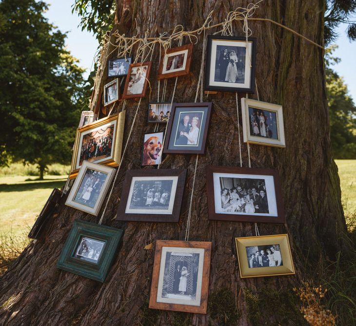 Family Portraits Family Tree Wedding Decor