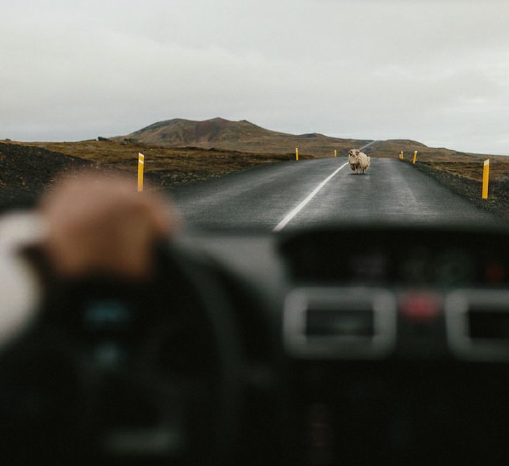 Iceland Elopement Wedding