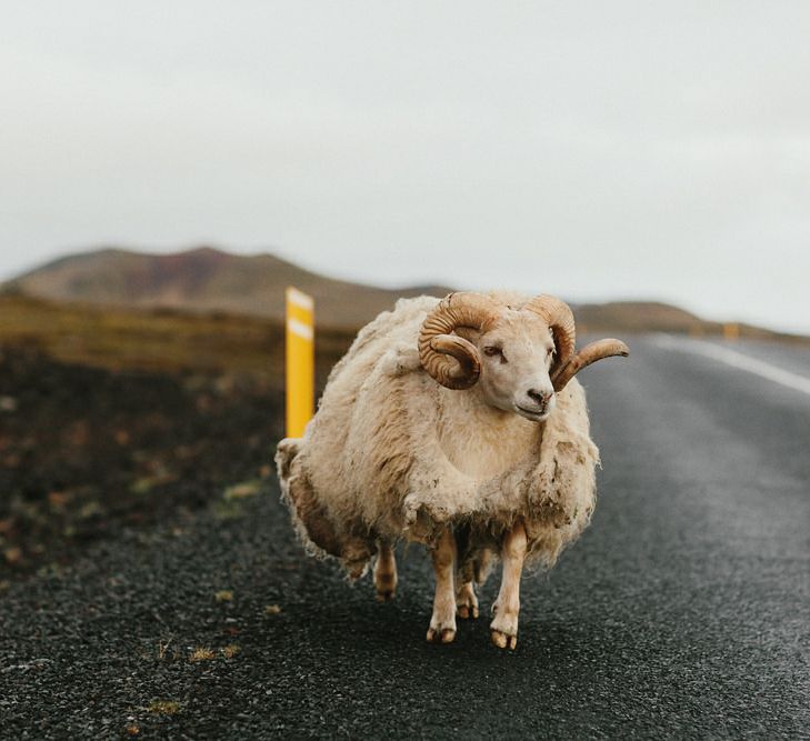 Iceland Elopement Wedding