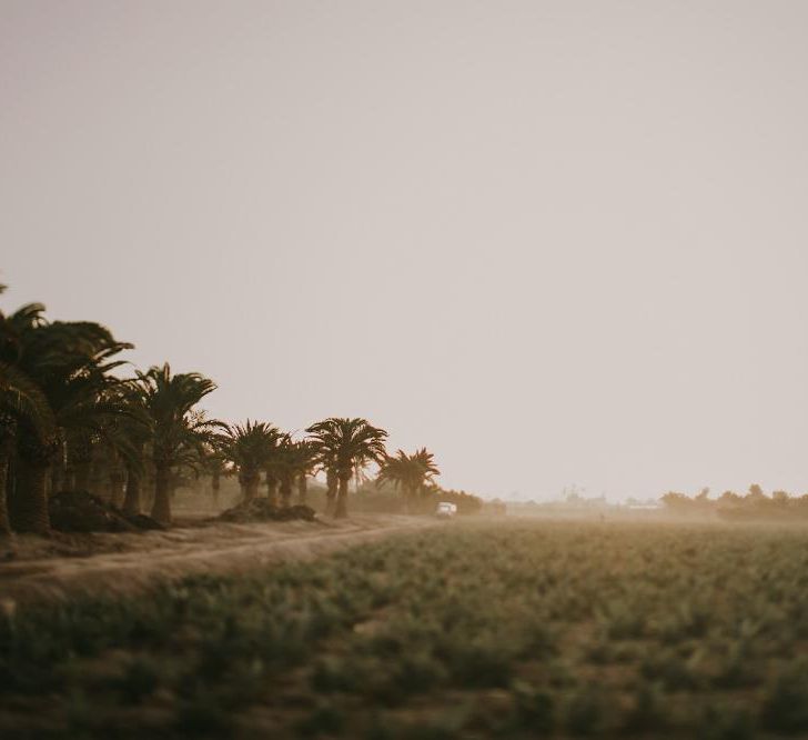 Outdoor Wedding In Alicante at Jardins de Abril