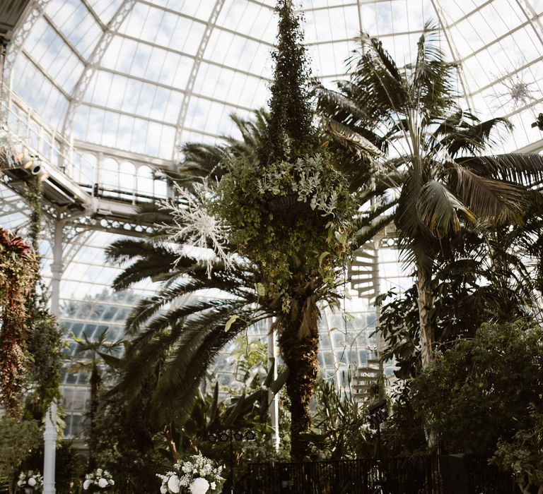 Botanical Reception at Sefton Park Palm House Liverpool