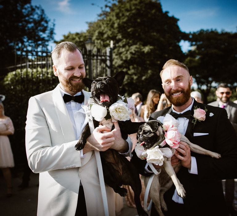 Groom & Groom in Tuxedos with Pugs in Floral Collars