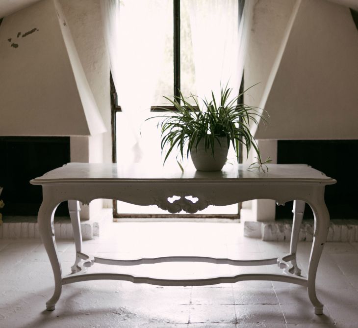 White Table & Plant