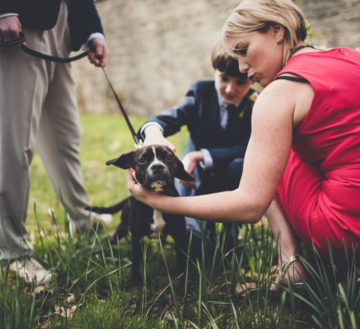 Bridesmaids In Red High Street Dresses