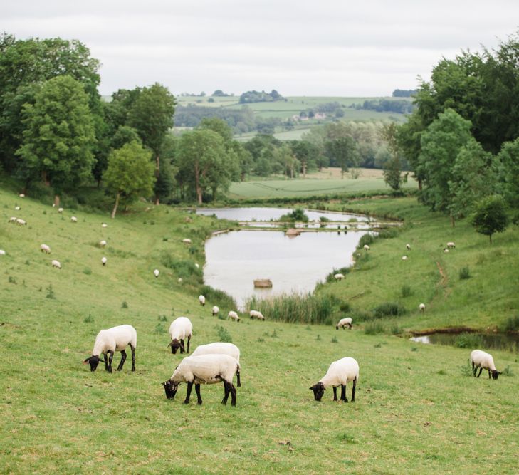 Sheep | Beautiful Classic Wedding at Cornwell Manor | Lucy Davenport Photography