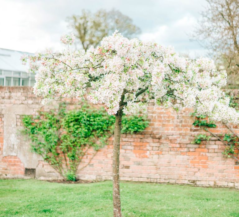 Bride In Bardot Neck Gown By Charlotte Balbier | Rustic Pastel Wedding At Blake Hall | Images By Matt Ethan Photography