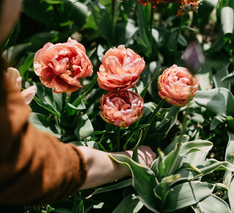 The Garden Gate Flower Company Florists One-To-One Session With Best Day Ever Images by Marcos Sanchez