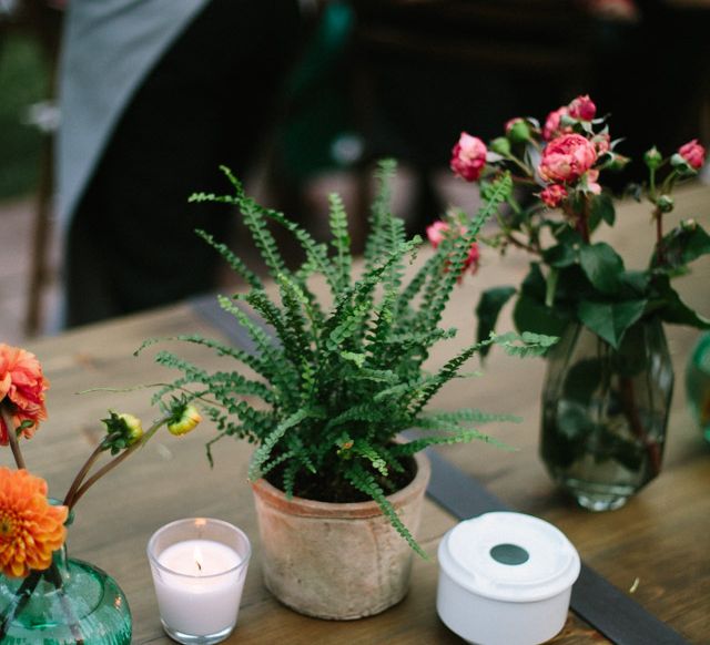 Plant Pot Centrepieces