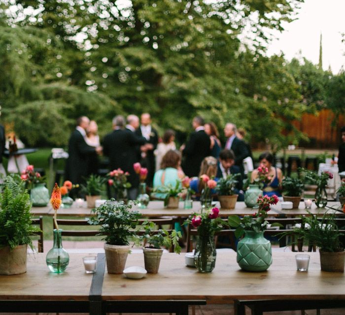 Vibrant Plant Pot Tabel Centrepieces