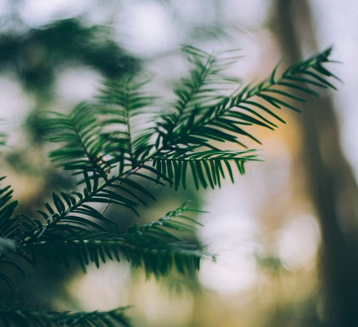 French Forest Wedding Inspiration