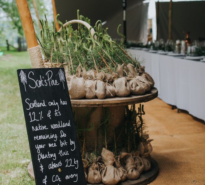 Tree Wedding Favours | 2 Day Festival Theme Wedding | Colin Ross Photography