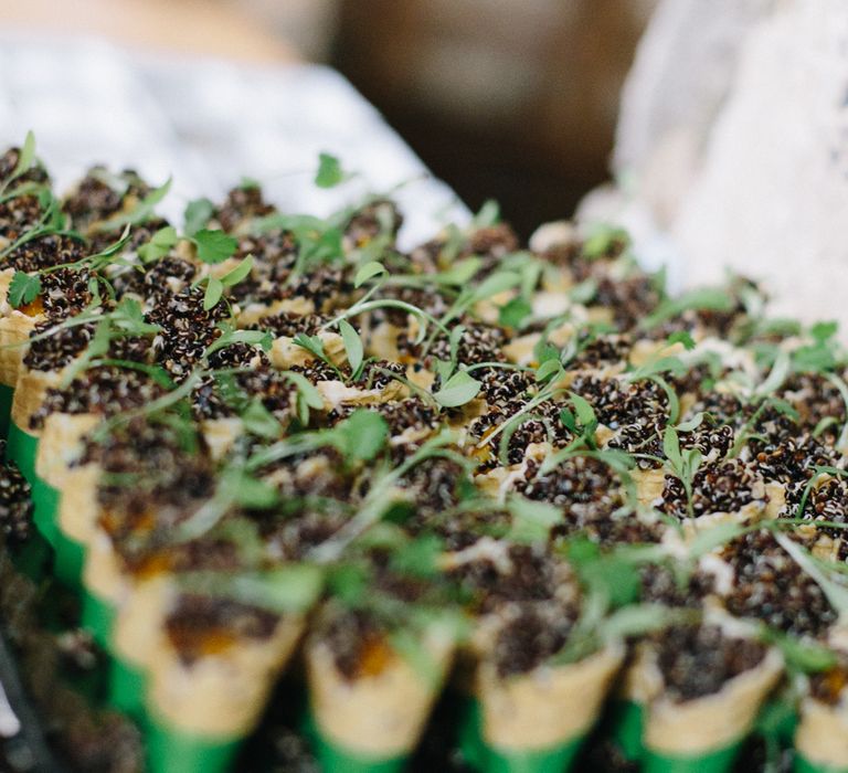 Plant Wedding Favours