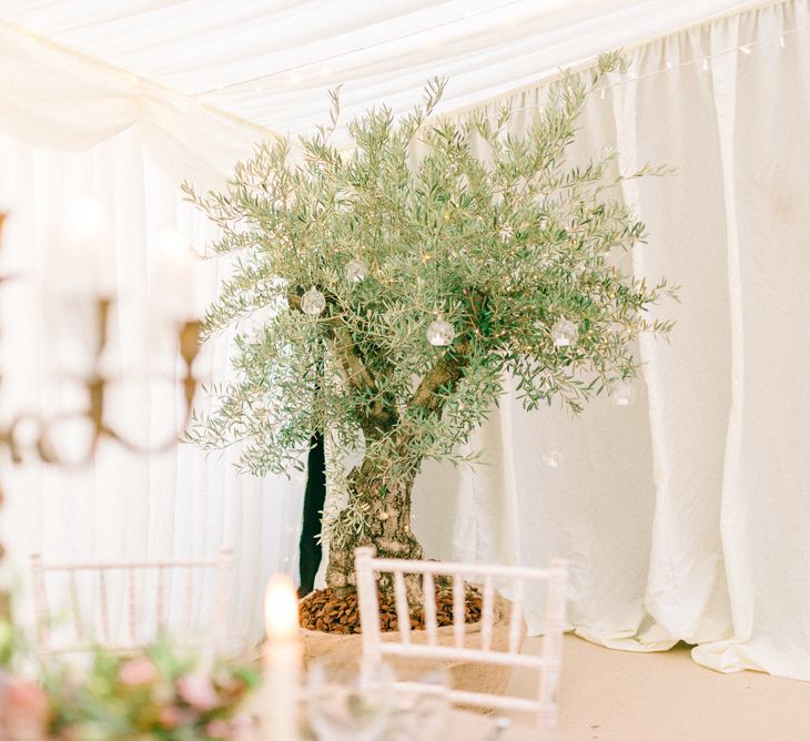 Elegant Classic Winter Wedding In A Marquee With Candles & Olive Trees With Images From Sarah Jane Ethan Photography