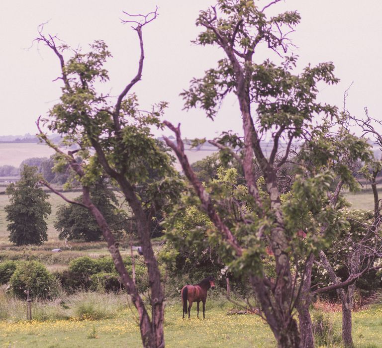 Country House Wedding Venue