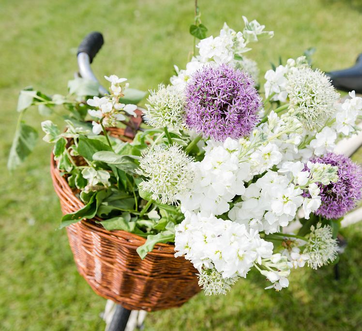 Vintage Bicycle Basket Filled With Flowers | Wedding Decor | Turner & Moss Photography