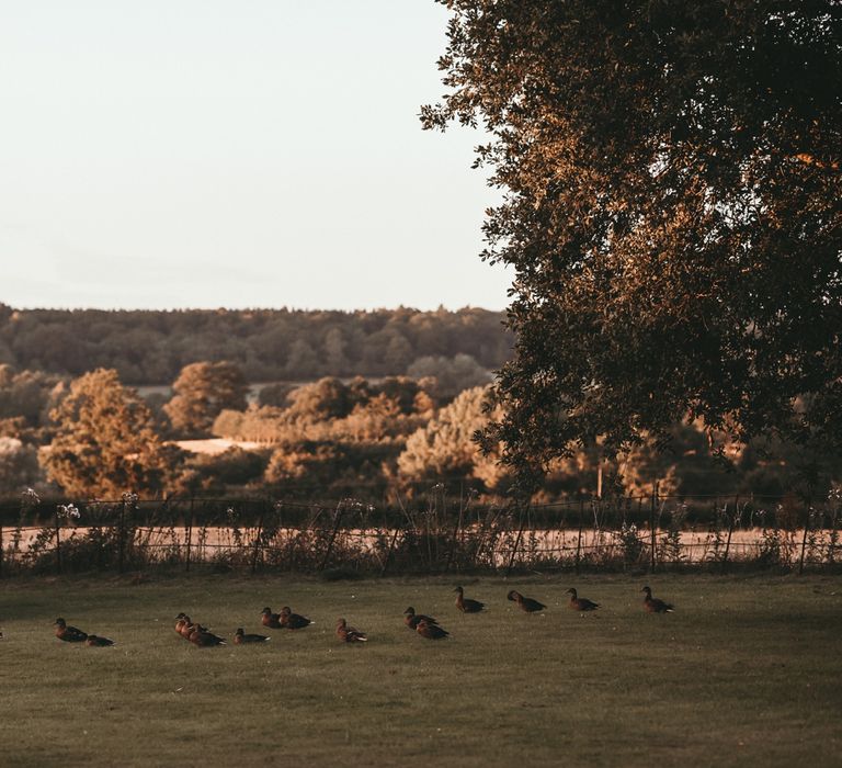 Elegant Fun Wedding At Babington House Somerset