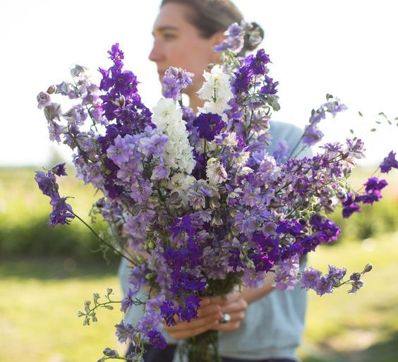 Image via <a href="https://www.floretflowers.com/shop/larkspur-summer-skies-mix/" target="_blank">Floret</a>