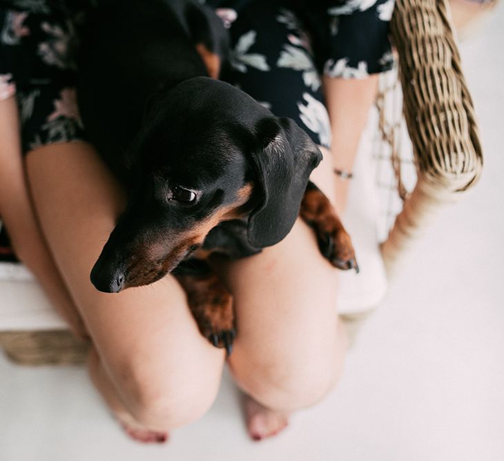 Dachshund Dog | Stylish Outdoor Wedding at Masia Casa del Mar in Barcelona, Spain | Sara Lobla Photography | Made in Video Film