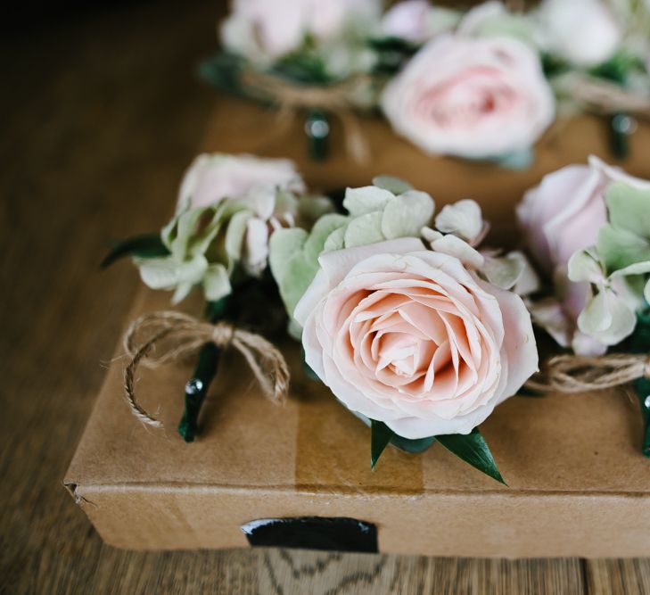 Light Pink Blooms