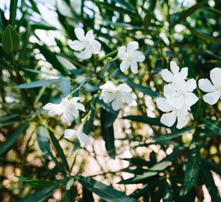 Can Amonita Villa | Ibiza Destination Wedding | Helen Abraham Photography | Ibiza Wedding Films