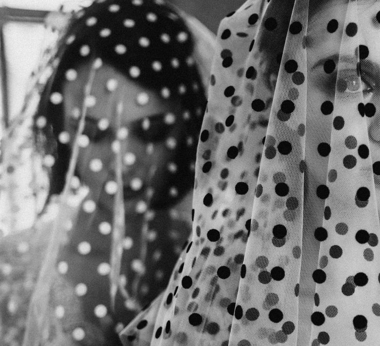 Spotty Veils by AM Faulkner