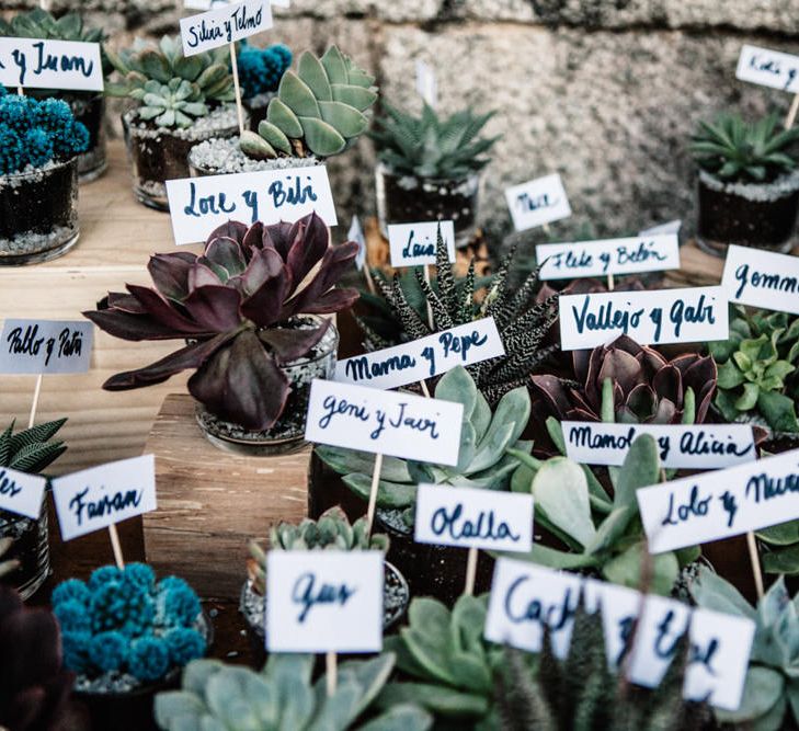 Succulent Table Plan