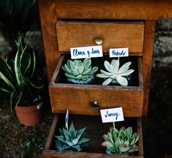 Succulent Filled Drawers Wedding Decor