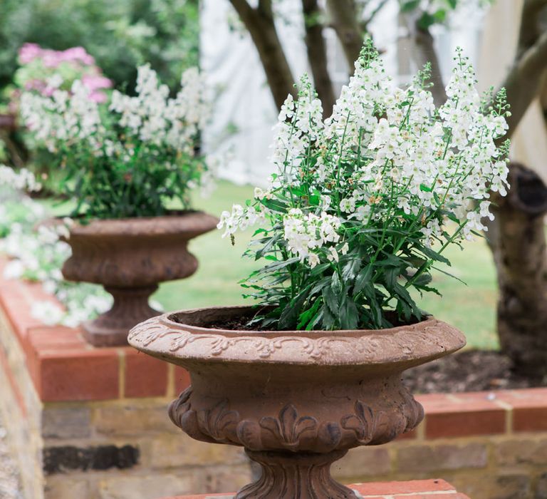 Garden Plants