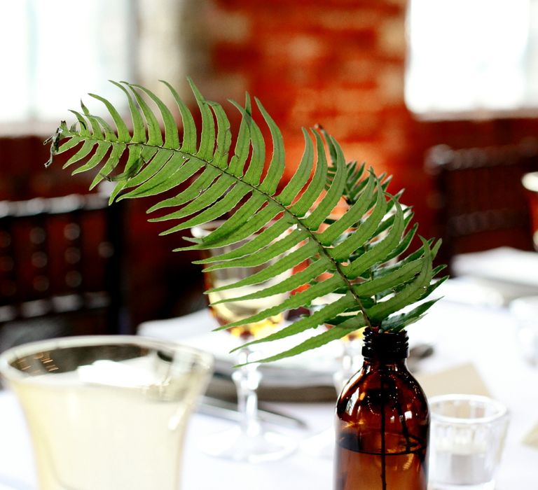 Brown Bottle & Fern Foliage Centrepiece | Dasha Caffrey Photography | Liz Linklater Event Planning & Design