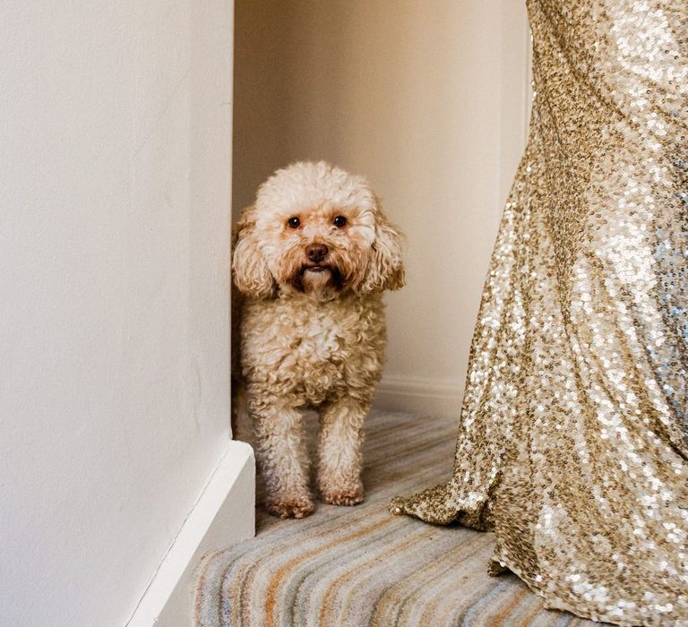 Pet Dog | Village Underground Wedding London | Babb Photo