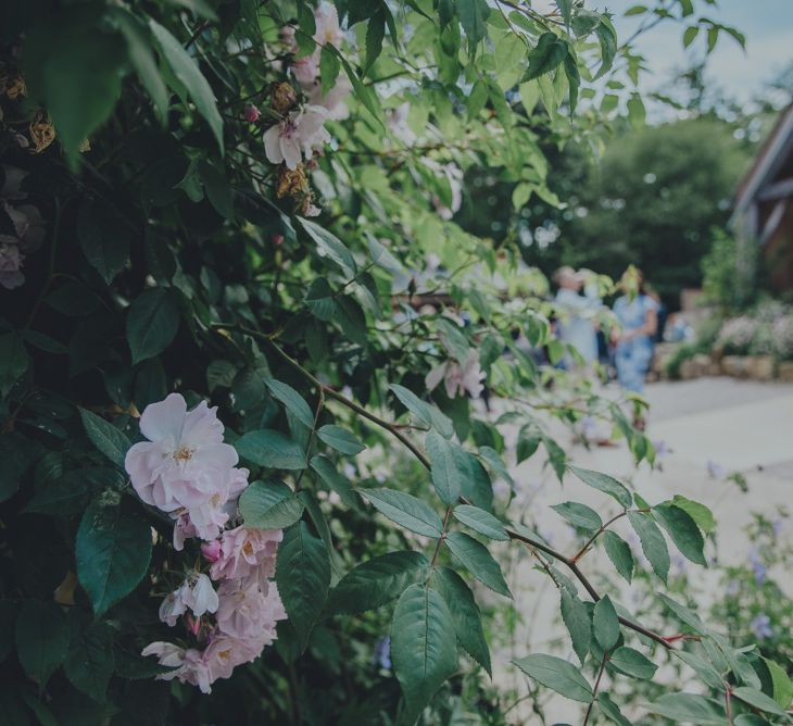 Nancarrow Farm Cornwall Wedding