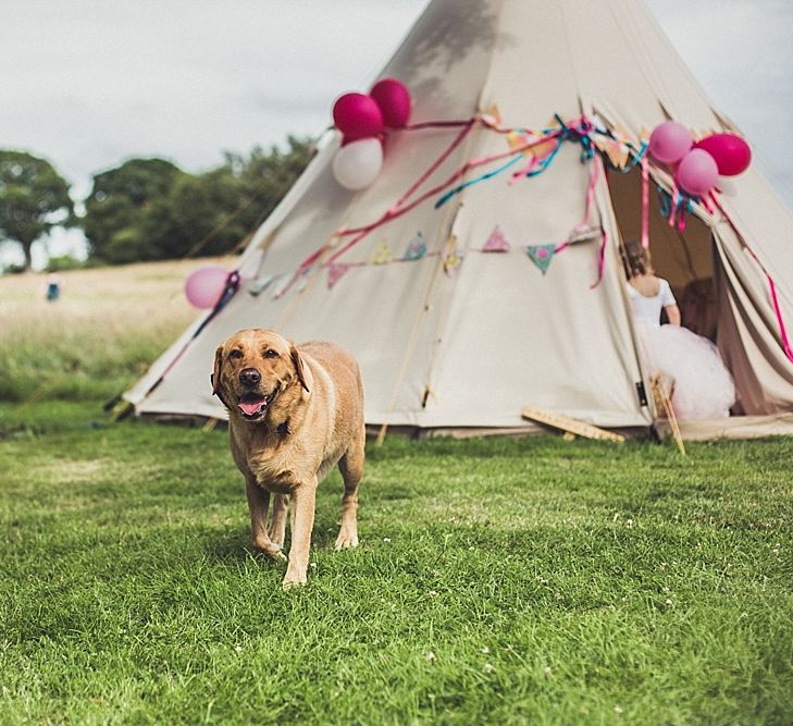 Dog at Wedding