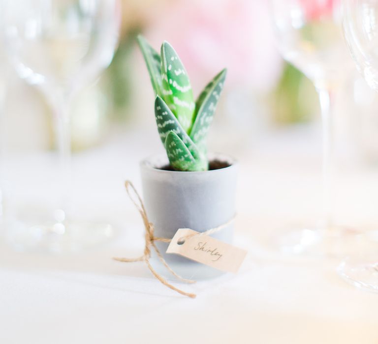 Succulent Wedding Favours