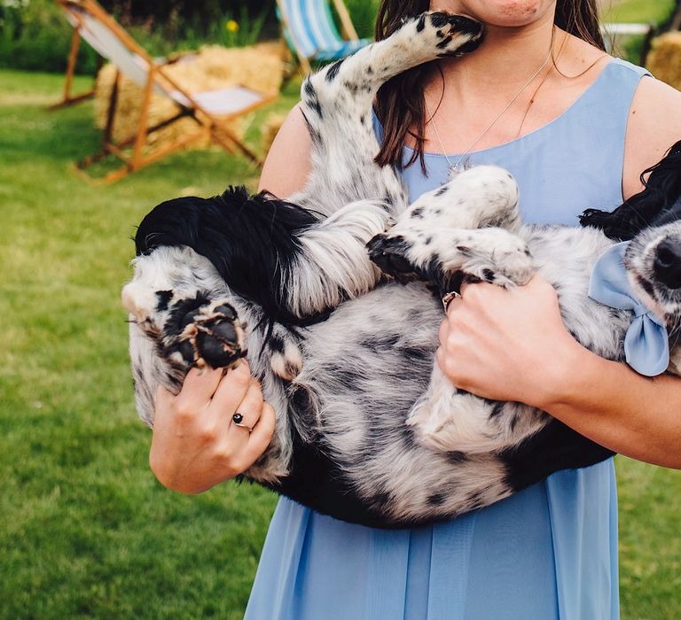 Bridesmaids in Blue HoF Dresses | DIY At Home Marquee Wedding | J S Coates Wedding Photography