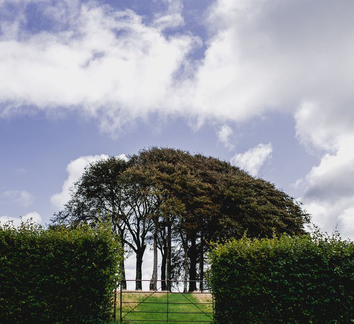 Tree Copse Wedding Ceremony // Farm Wedding Venue Cornwall // Embellished Jenny Packham Gown Marquee Wedding At Coombeshead Farm Cornwall The Garden Gate Flower Co Planning Jenny Wren Events Images Barney Walters Photography