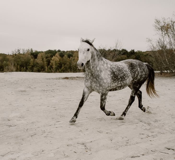 Wild Horse | Wild Same Sex Couple Wedding Inspiration Shoot | Anne Letournel Photography