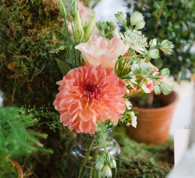 Pom Pom Dahlia Plant Pots as Centrepieces