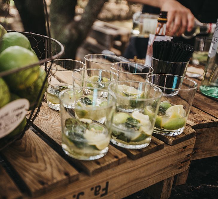 Lemon, Lime and Mint Mixers for Wedding Reception Drinks