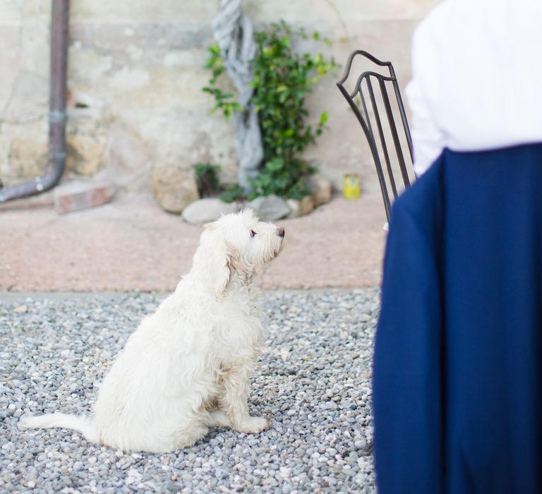 Four Day Italian Destination Wedding at Frattoria Mansi Bernadini Planned by Weddings by Emily Charlotte | Cecelina Photography