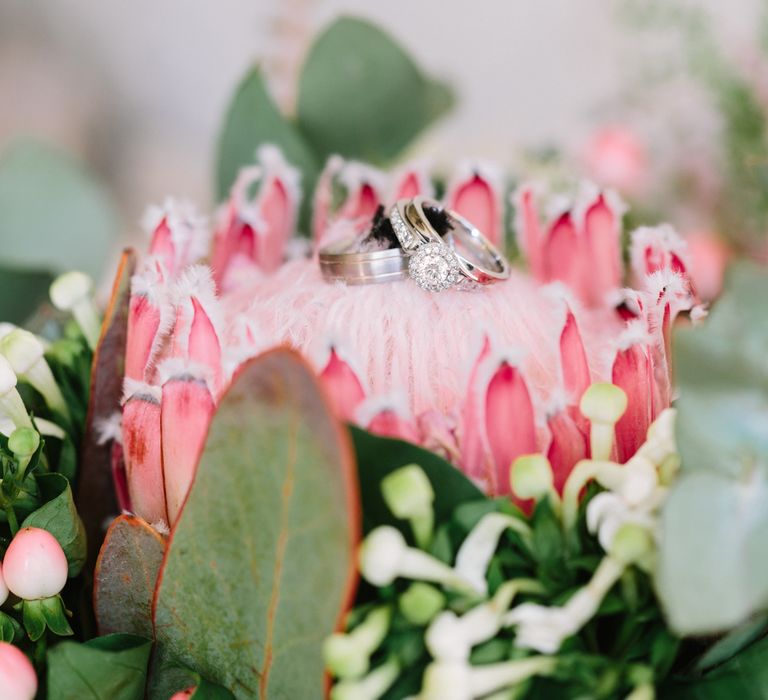 Protea Wedding Flower | DIY Country Wedding at Warborne Farm, Lymington | Camilla Arnhold Photography