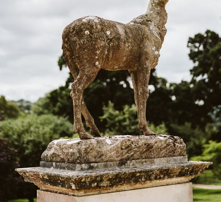 Floral Details For Stags At Pynes House // Image By John Barwood Photography