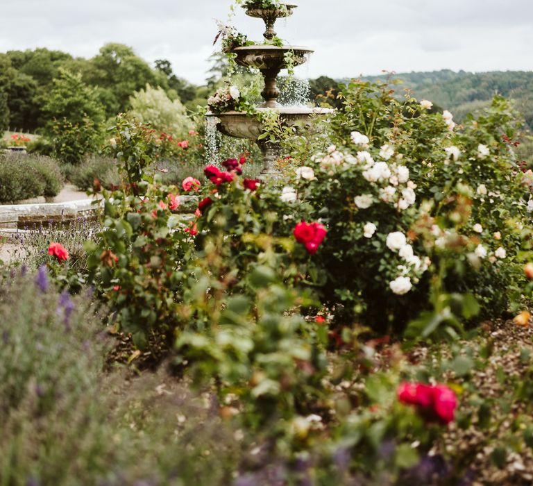 Gardens At Pynes House // Image By John Barwood Photography