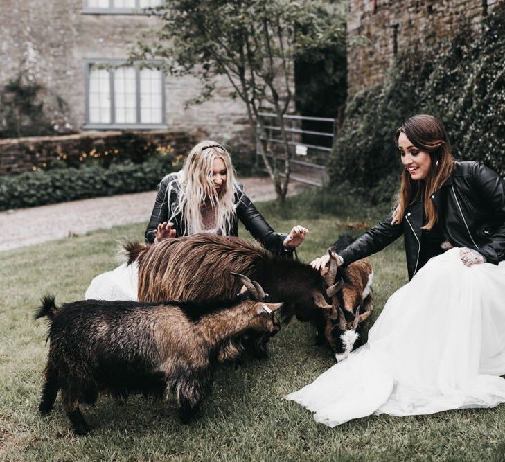 Brides petting the goats at The Drovers wedding venue