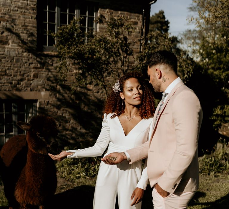 Black Bride with Afro Hair in White Jumpsuit and Groom in Pink Suit and Loafers Feeding an Alpaca