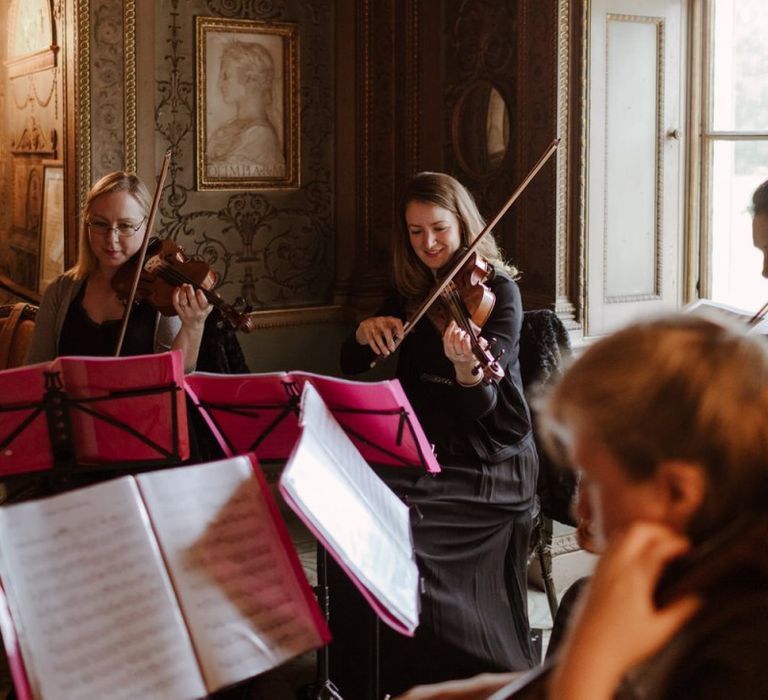 String quartet wedding entertainment